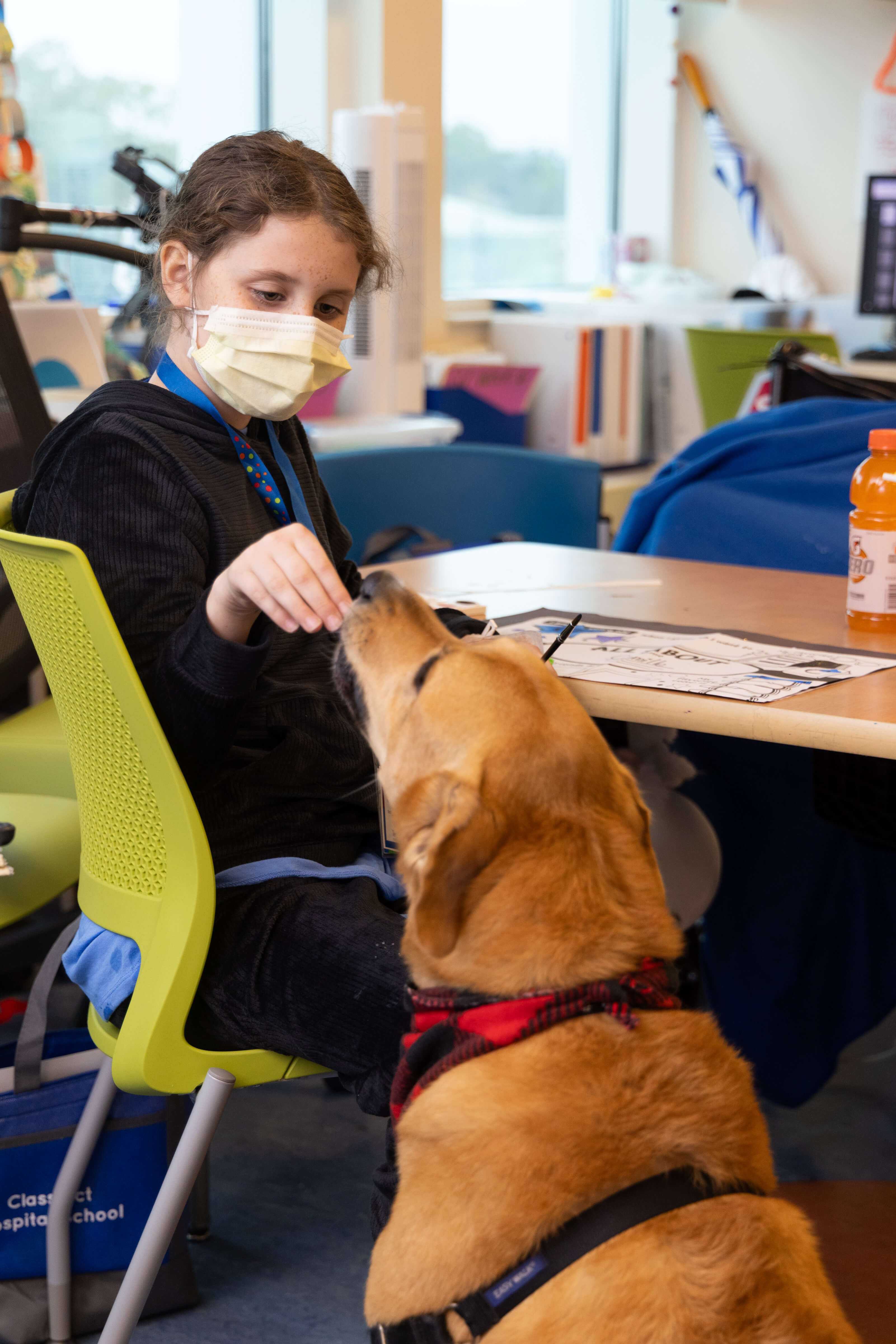Therapy dog Sophie visits with a patient in the classroom.