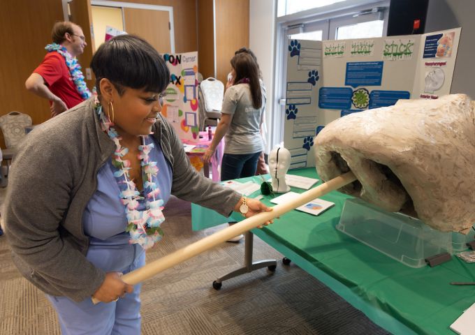 Swabbing giant nasal passages part of USA Health Physicians Group clinical resources fair