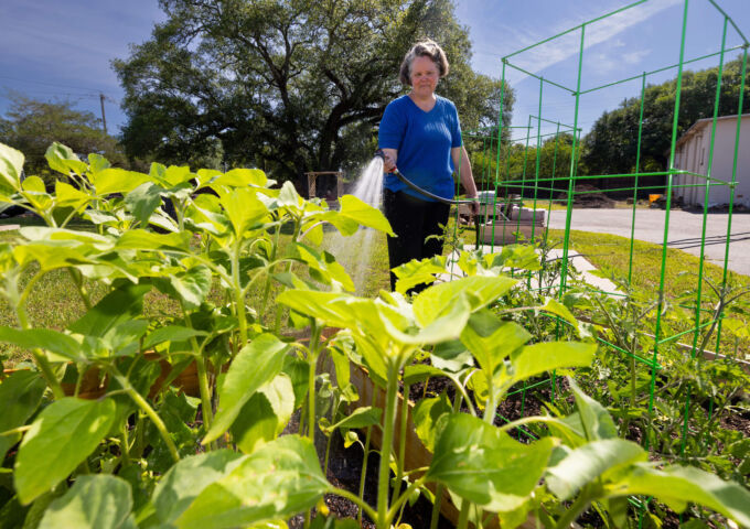 Center for Healthy Communities garden cultivates fresh produce, connection and healing