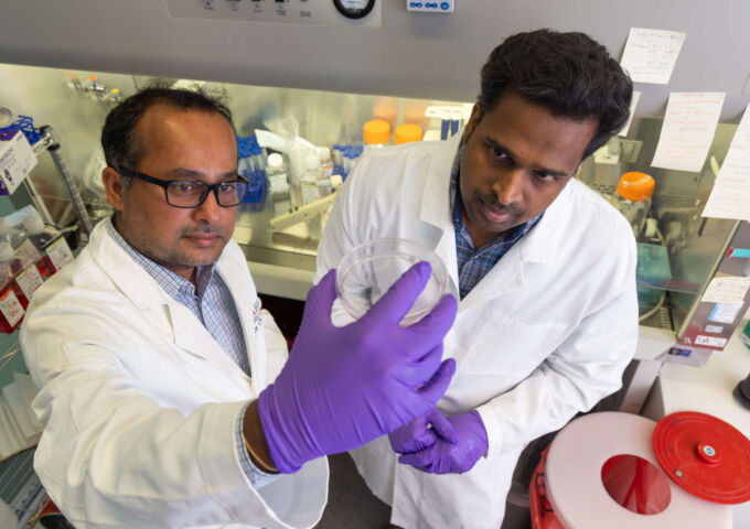 USA researchers study mechanism behind gastric cancer metastasis