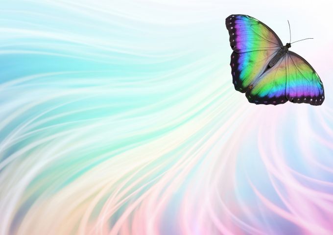An illustration of a butterfly flying over rainbow colors