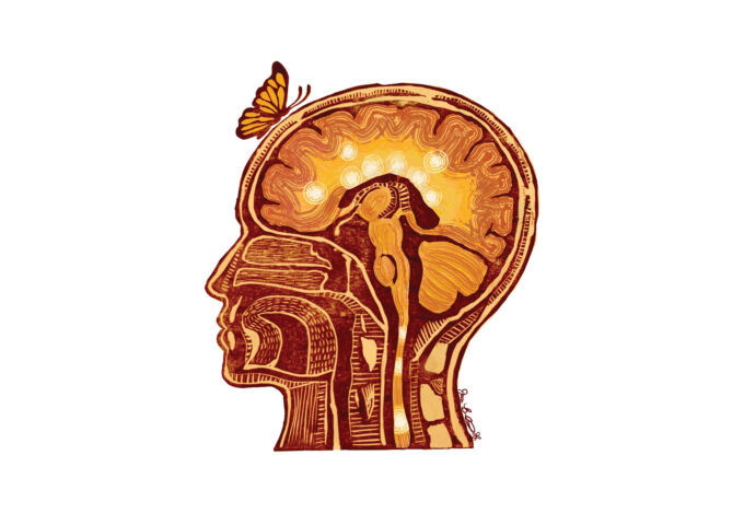 neuroimmunology art of brain