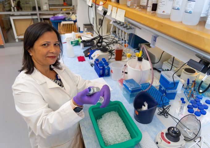 Chandrani Sarkar, Ph.D.