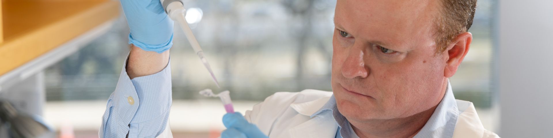USA scientist awarded national grant to uncover triggers for inflammatory reactions