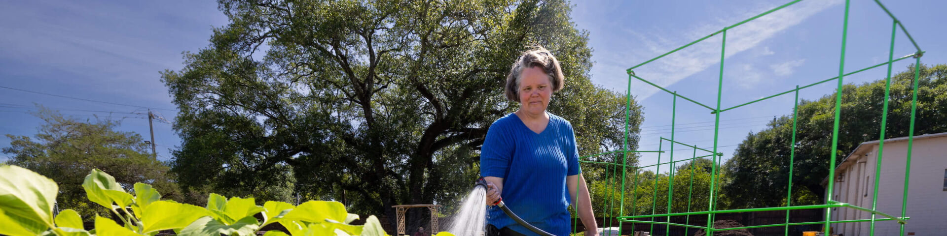 Center for Healthy Communities garden cultivates fresh produce, connection and healing