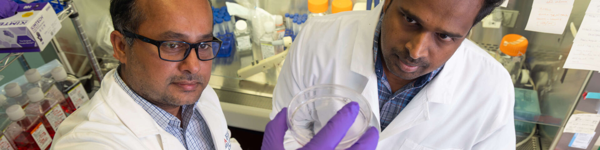 USA researchers study mechanism behind gastric cancer metastasis