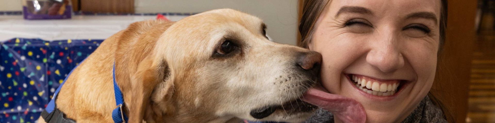 Amid wags and kisses, therapy dog Millie retires from service