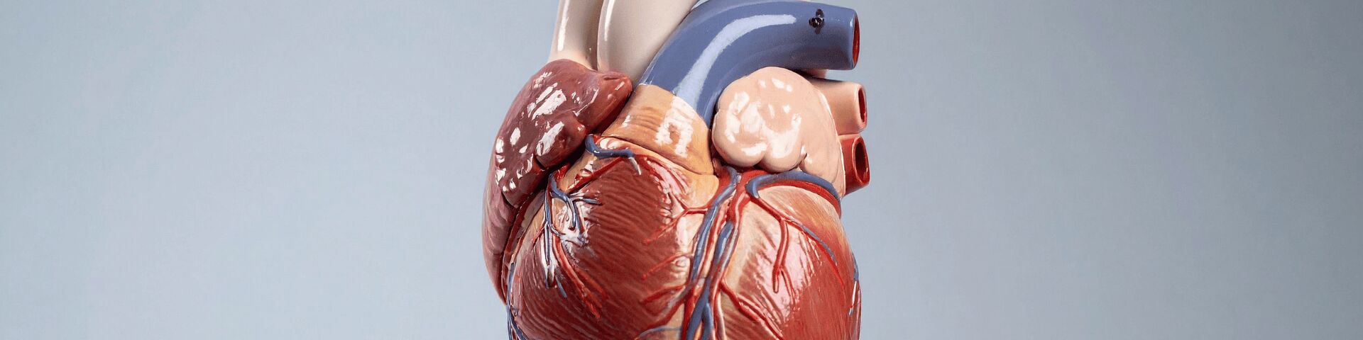 Heart failure is a terrible term: A cardiologist explains what it really means