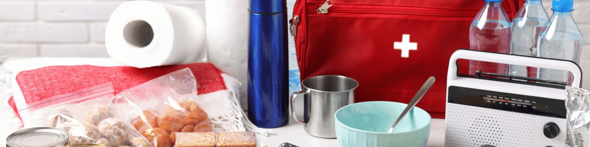 Disaster preparedness kit